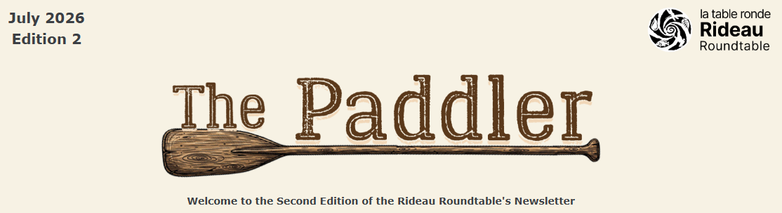 2026 07 The Paddler