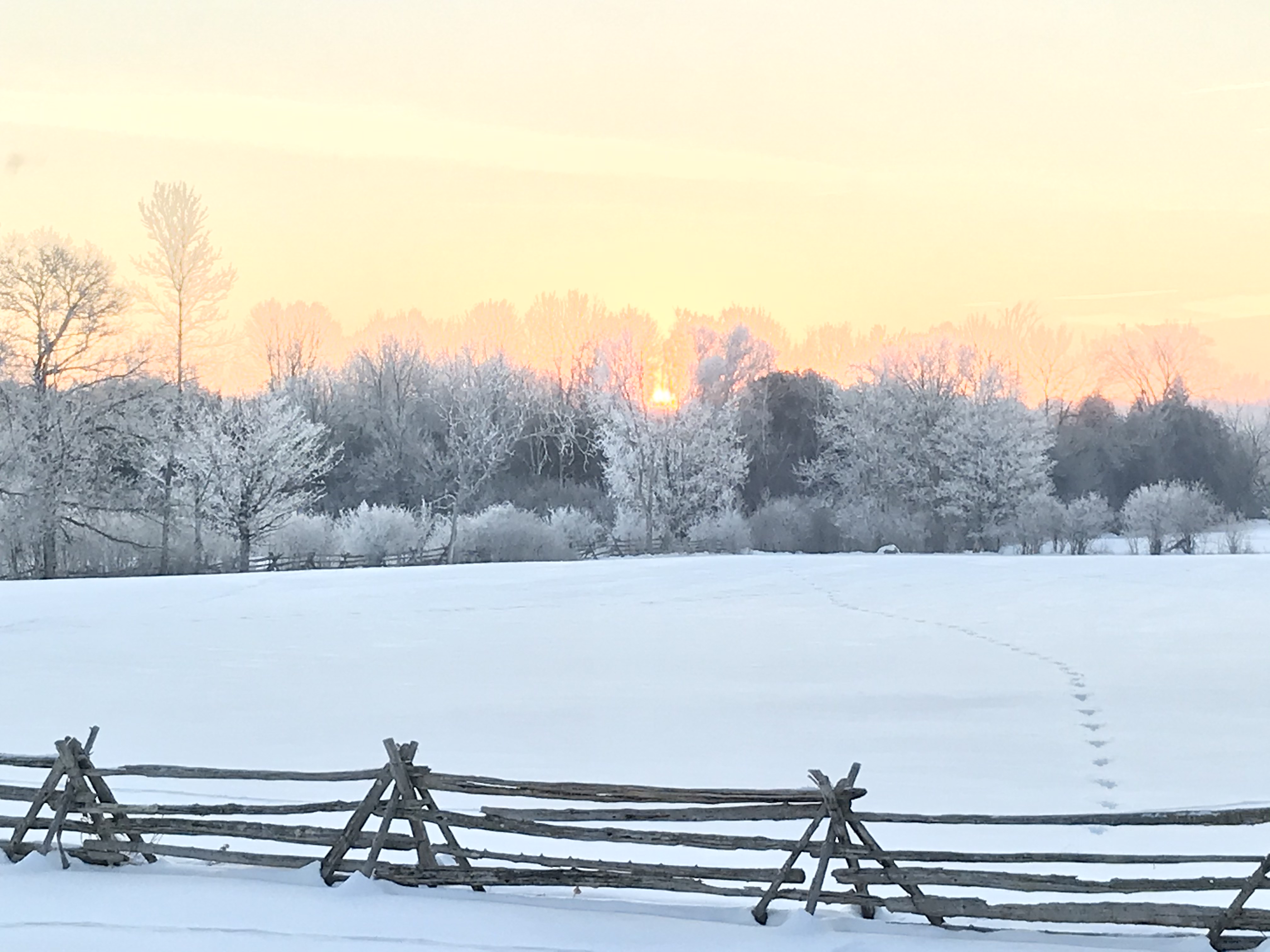 Submission 1 Snowy Field Sunset Lay DC 10A