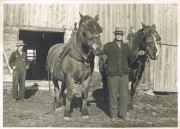 Balderson P.M. Campbell with Horses