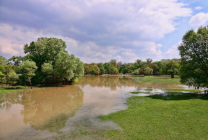 Flooding