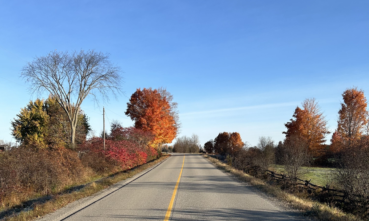 Roads and Sidewalks