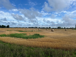 Economic Development